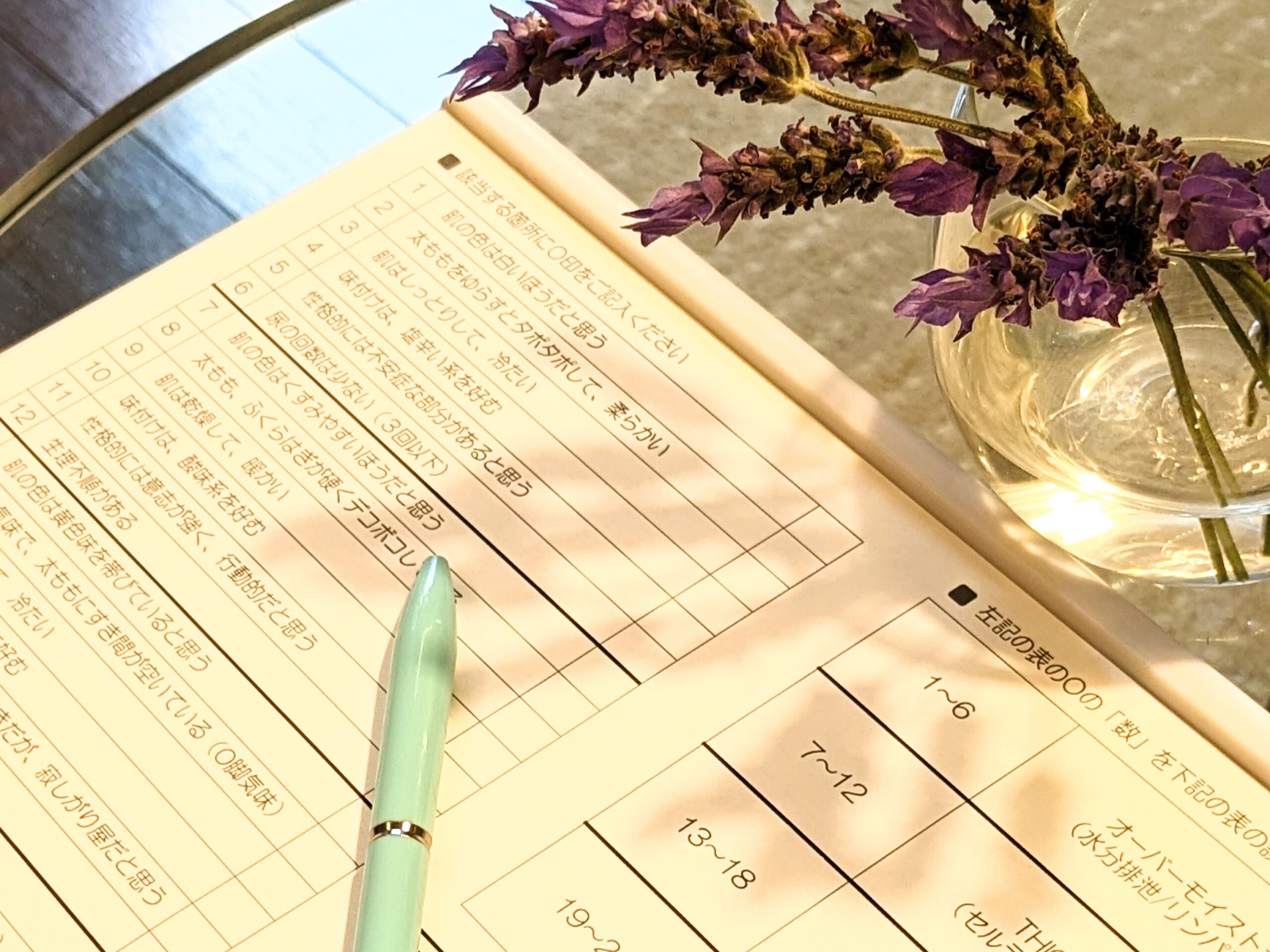 BASNAカウンセリングシート